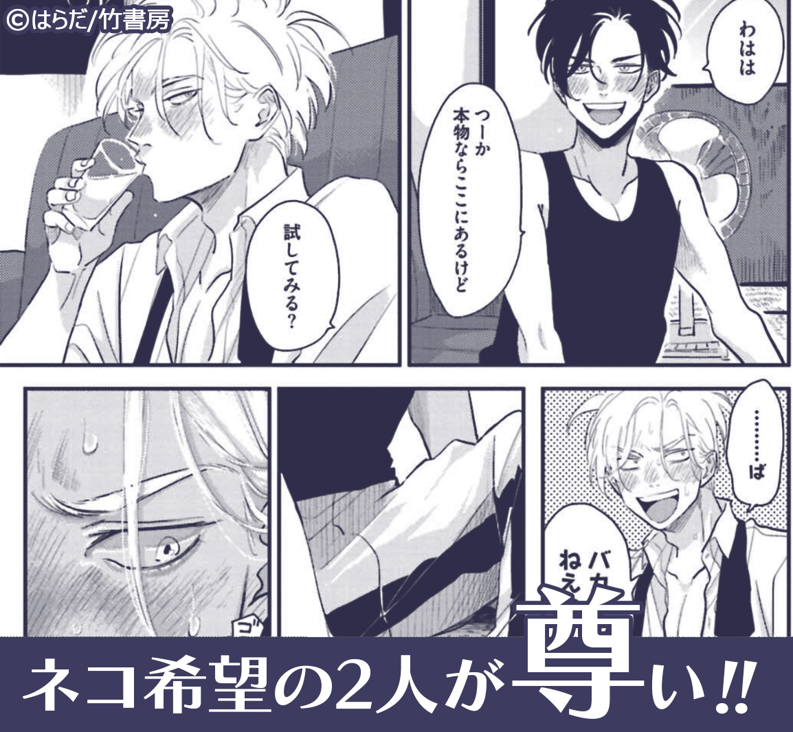 ハッピークソライフ 